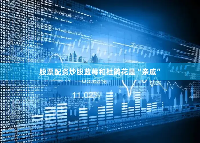 股票配资炒股蓝莓和杜鹃花是“亲戚”