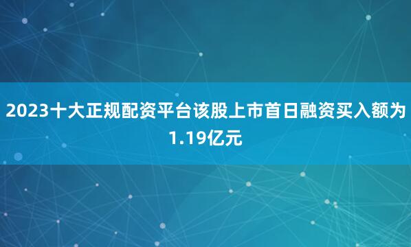 2023十大正规配资平台该股上市首日融资买入额为1.19亿元