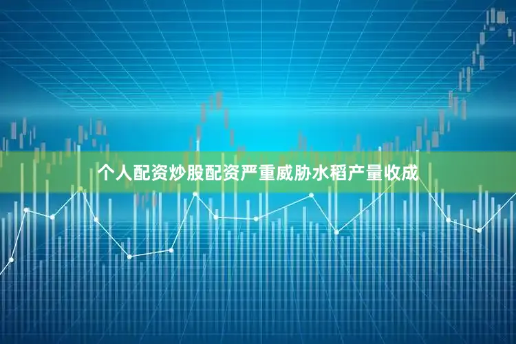 个人配资炒股配资严重威胁水稻产量收成