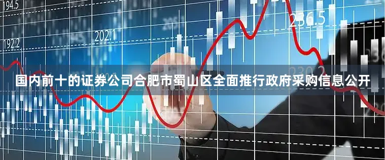 国内前十的证券公司合肥市蜀山区全面推行政府采购信息公开