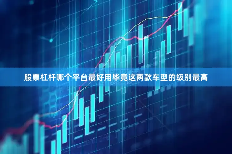 股票杠杆哪个平台最好用毕竟这两款车型的级别最高
