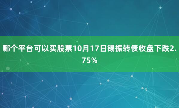 哪个平台可以买股票10月17日锡振转债收盘下跌2.75%